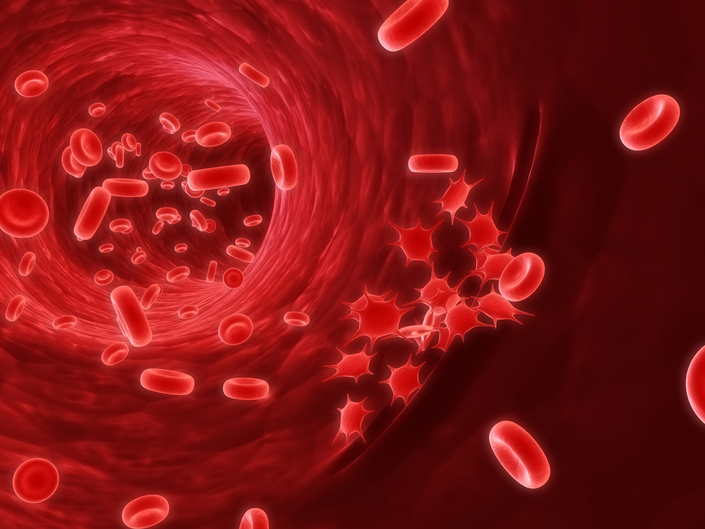 Созданы нанотромбоциты для остановки внутреннего кровотечения